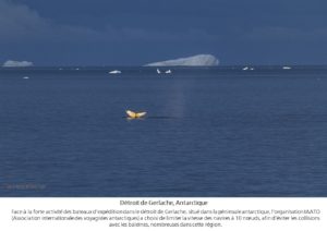 Visages de mers (17)