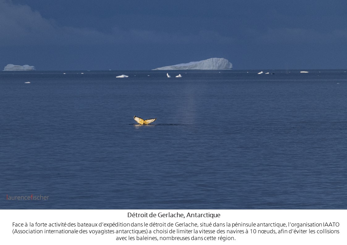 Visages de mers (17)